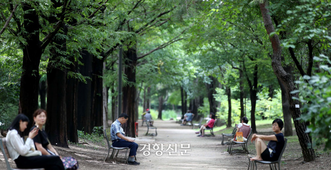 A Relaxed Afternoon Route Along Seoul Forest's Seongsu Side — photo from Korean media
