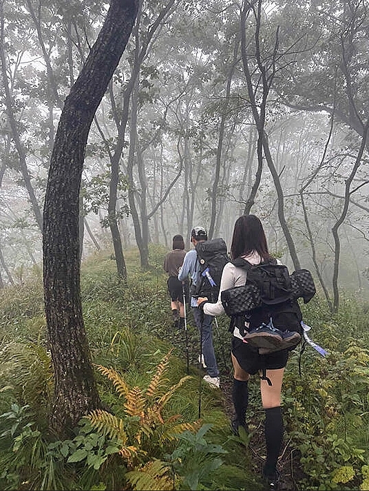 Namsan Seoul Tower: Walk-Up or Cable Car? A Real Comparison — photo from Korean media